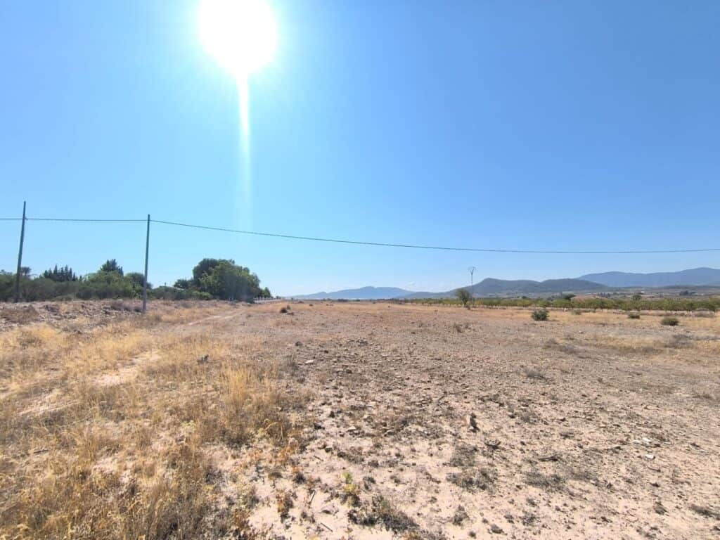 Plot for sale in Pinoso