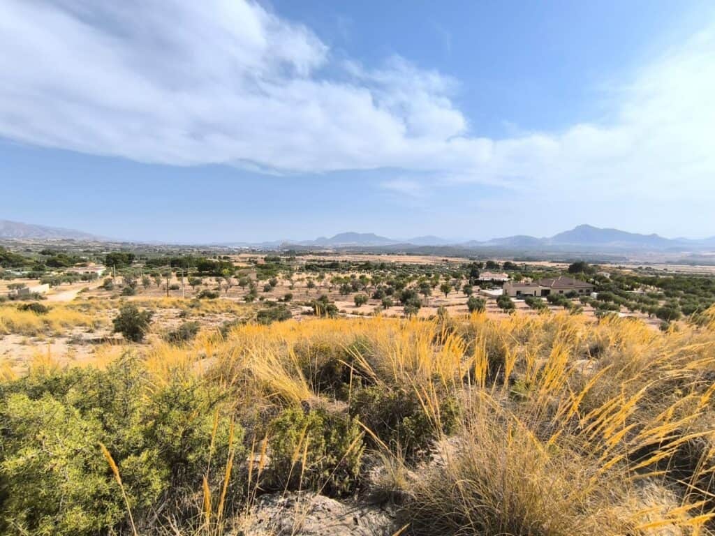 Plot for sale in Sax